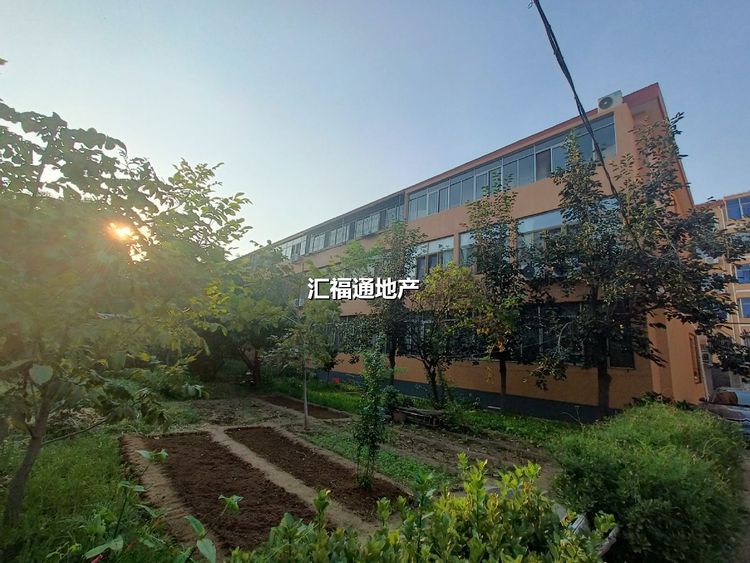 楼盘图