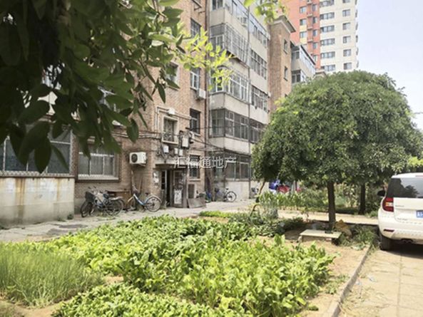 质检站家属院第3张图片