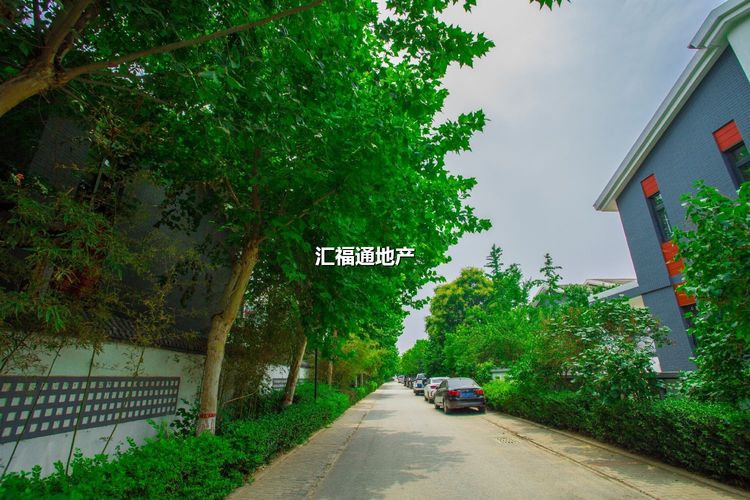 楼盘图