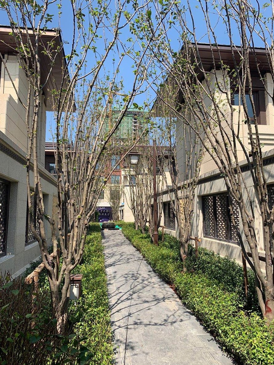 上河天著社区内实景图
