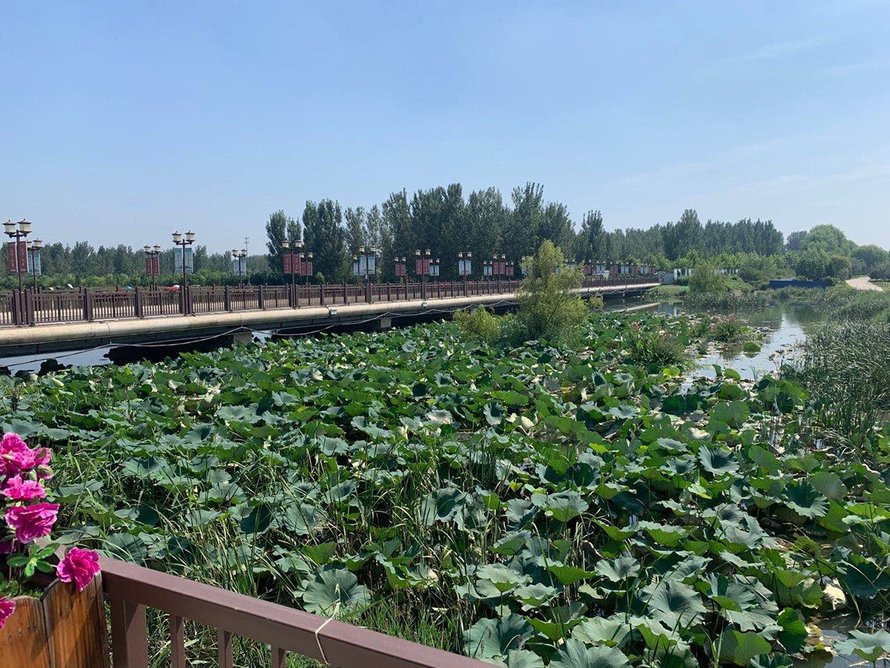 上河天著环境实景图