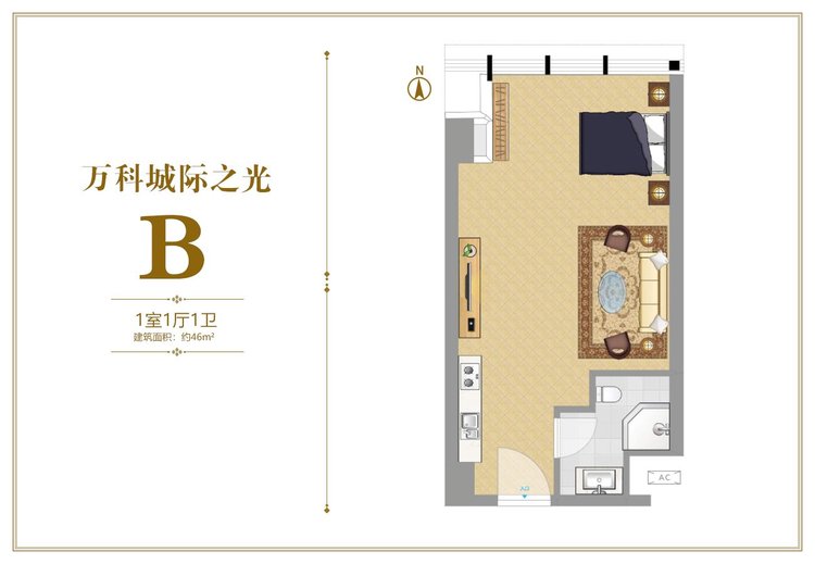 万科城际之光B户型一居46平米户型图