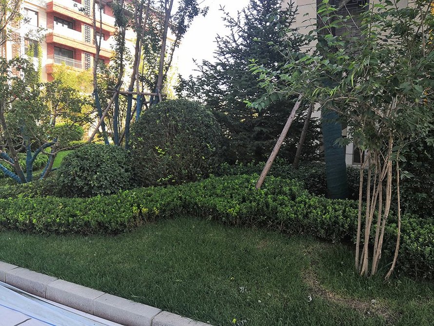 上河天著实景图(草皮)
