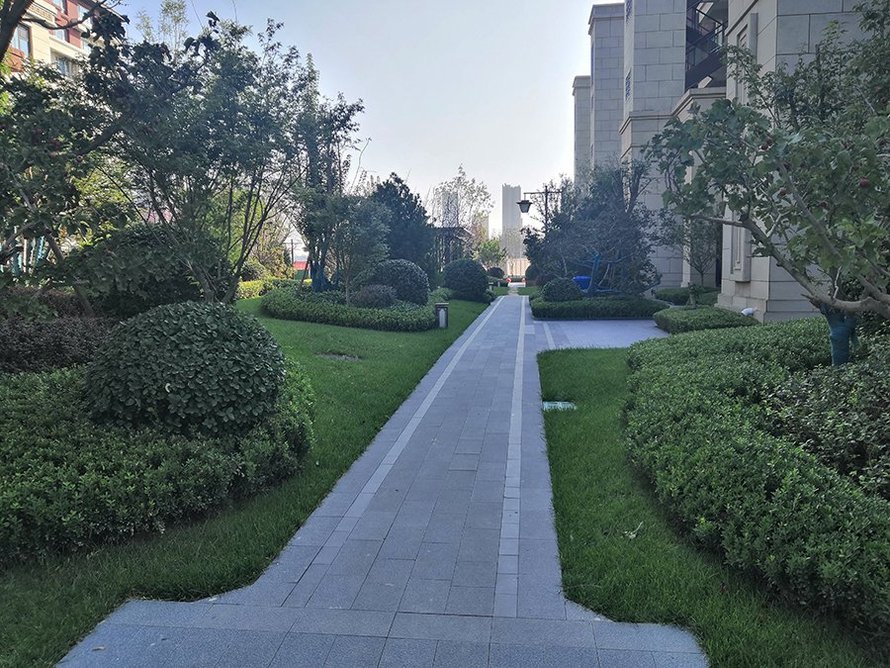 上河天著实景图(社区道路) (2)
