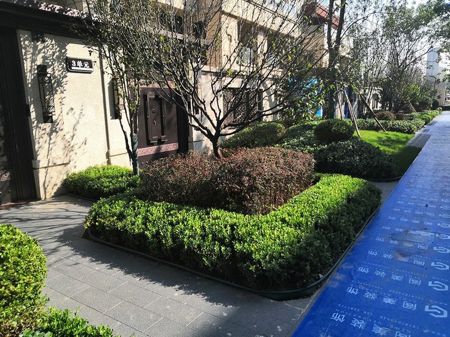 上河天著实景图(绿植)