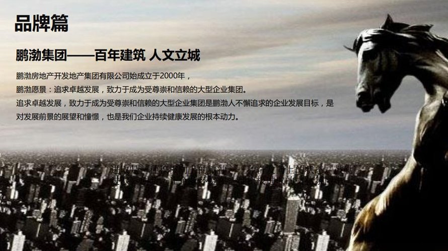 鹏渤集团品牌介绍