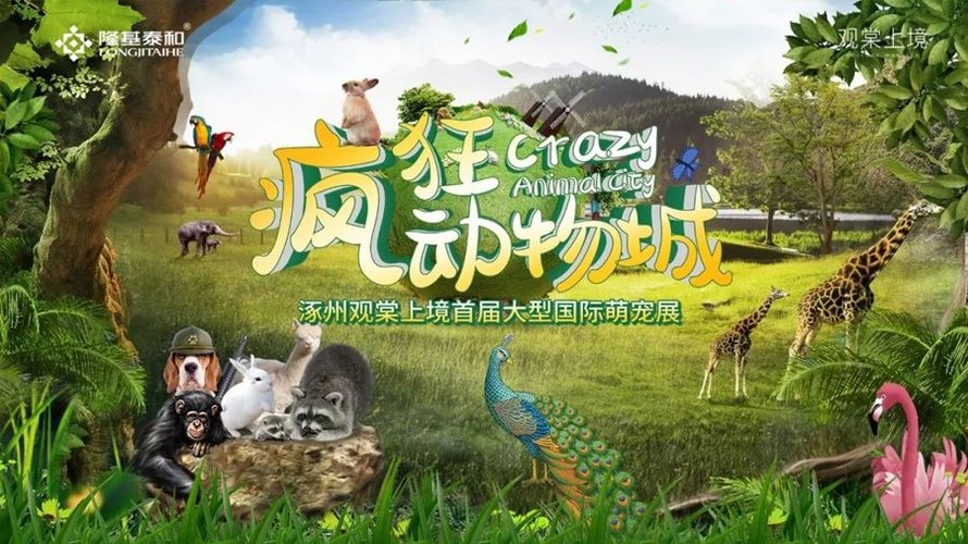 观棠上境首届大型国际萌宠展宣传海报