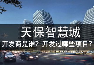 涿州天保智慧城开发商是谁开发的？开发过哪些项目？