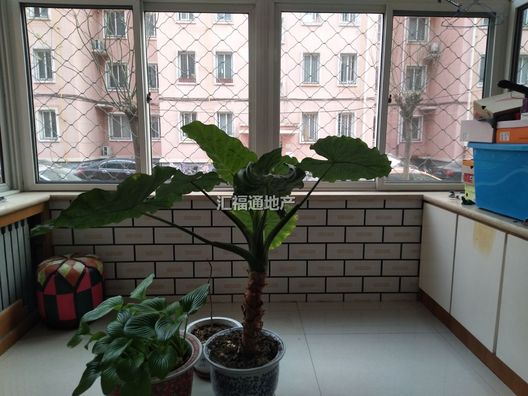 涿州市开发区唐人花园3室2厅房源信息第11张图片