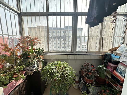 温馨小区3室2厅2卫第11张缩略图