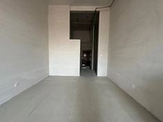 公园80901室1厅1卫(编号Z024137693)