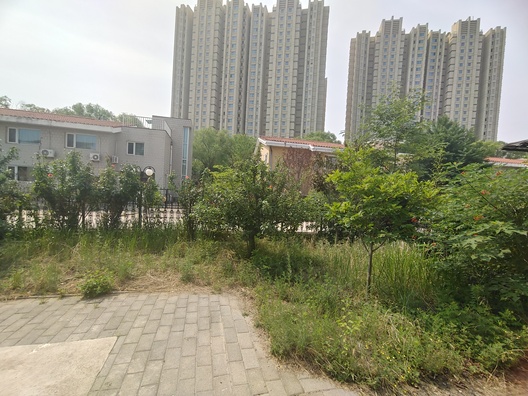 西京都高尔夫别墅4室3厅3卫第34张缩略图