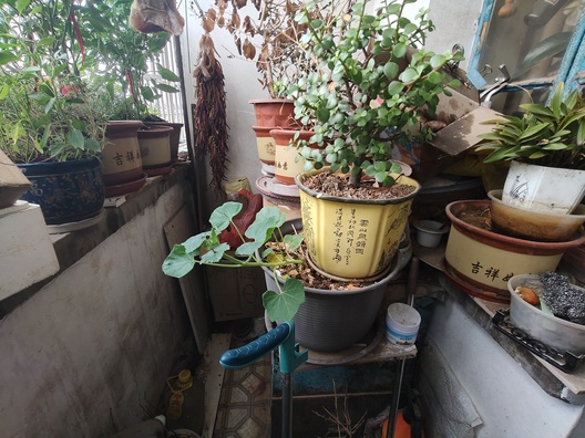 涿州市桃园区幸福小区2室2厅房源信息第7张图片