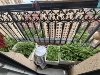 涿州市清凉寺香邑溪谷一期2室2厅房源信息第8张缩略图