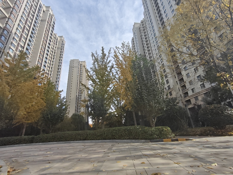 外景图