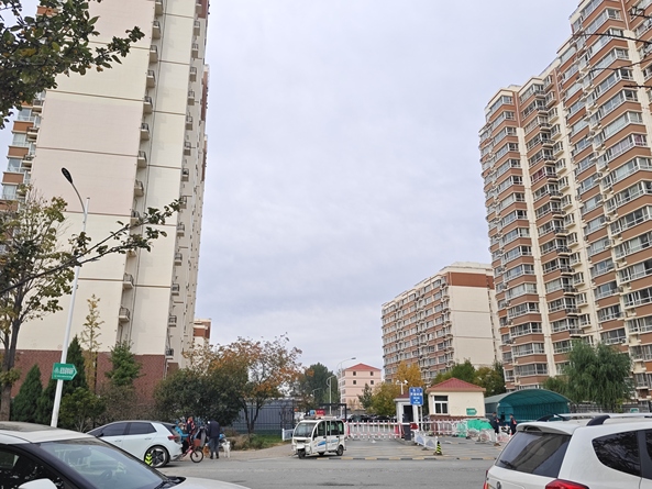 平安D区第9张图片