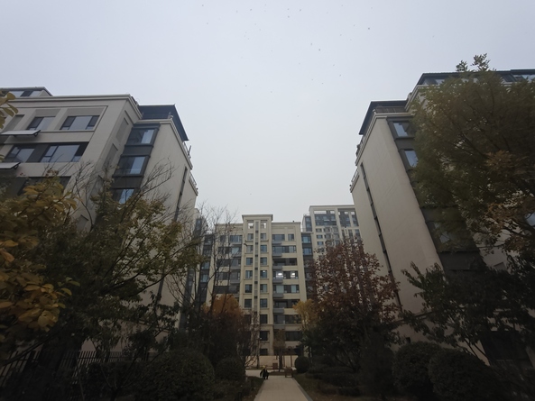 外景图