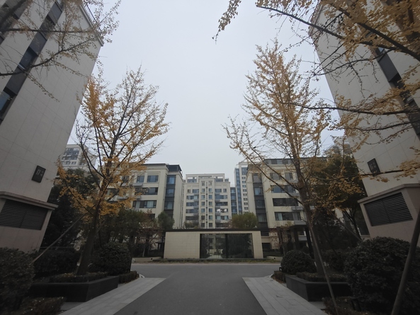 外景图