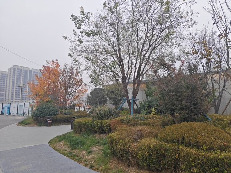 外景图
