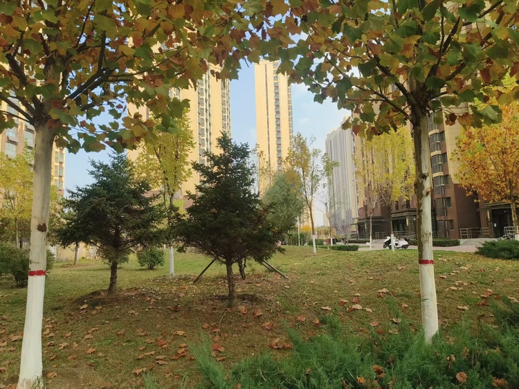 外景图