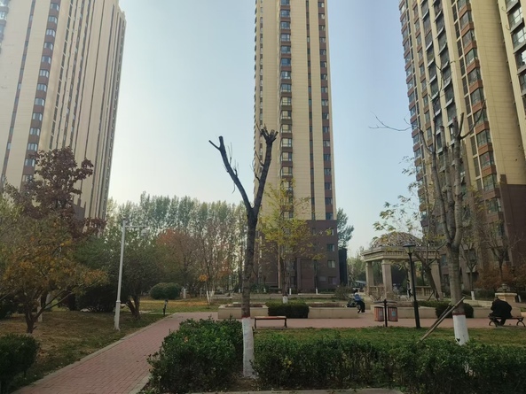 外景图