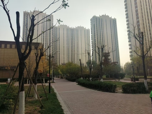 外景图