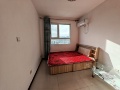 新加坡花园1室1厅52m²881(元/月)