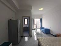 鸿坤新维港1室1厅(编号Z025157911)