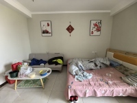 名流美域1室1厅(编号S025157675)