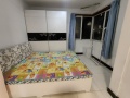 天保郦景1室1厅40m²650(元/月)