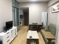 万科城际之光1室1厅60m²1200(元/月)