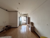 惠友钻石广场（AB座）1室1厅(编号Z025257504)