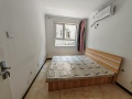 新加坡花园1室1厅52m²800(元/月)