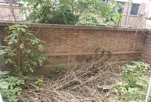 涿州市桃园区矿山局家属楼南院1室2厅房源信息第10张图片