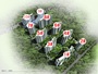 涿州君临天下御景园小区