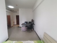 鸿坤新维港1室1厅(编号Z025258524)