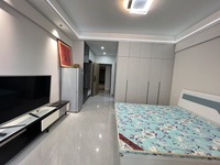 浪潮一览云山1室1厅(编号Z025259540)