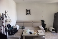 开发区名流美域1室1厅1卫