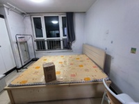 金街公寓1室1厅(编号Z025260956)