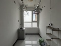 新加坡花园1室1厅50m²800(元/月)