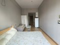 万科城际之光1室1厅30m²800(元/月)