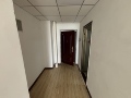 公园8090（新怡家园自由）1室1厅60m²1000(元/月)