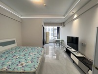 浪潮一览云山1室1厅(编号Z025263623)